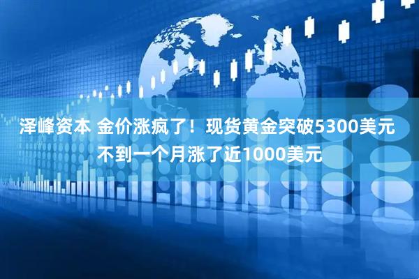 泽峰资本 金价涨疯了！现货黄金突破5300美元 不到一个月涨了近1000美元